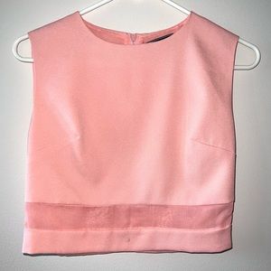 Cropped Pink Mesh Top